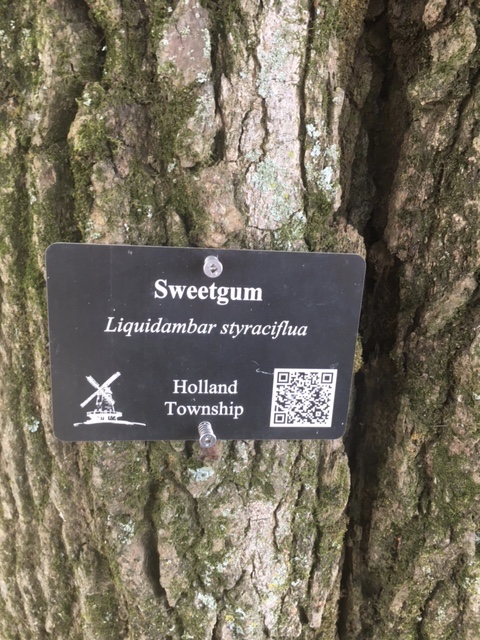 Sweetgum QR Code